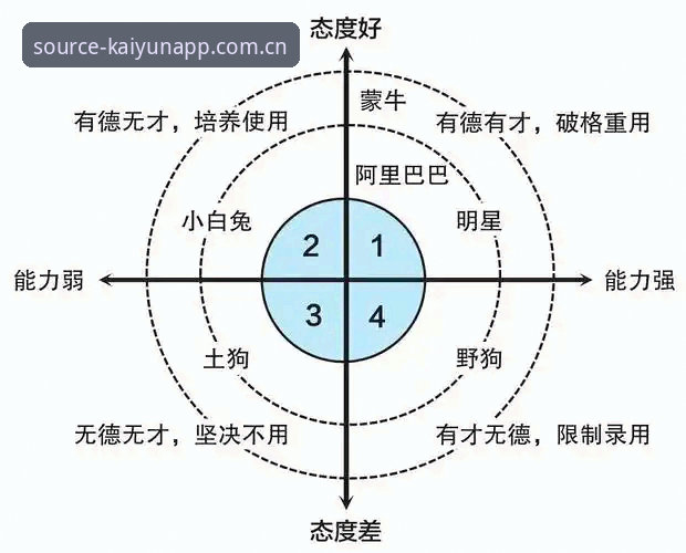 3个维度解析开云体育官方服务攻略：从注册到流畅体验的完整指南